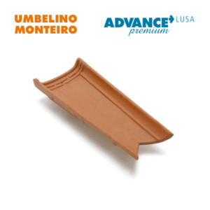 Bacalhau Advance Lusa