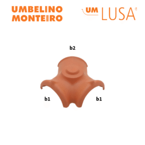 Telhão de 3H Femêa UM Lusa