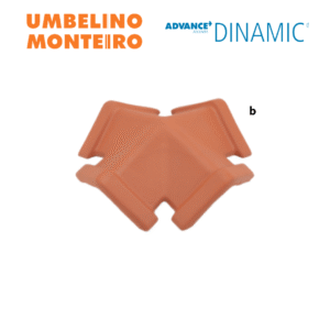 Telhão de 4H Advance Dinamic