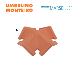 Telhão de 4H Advance Marseille