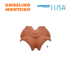 Cume de 4H Advance Lusa