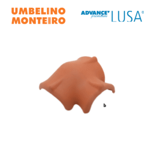 Cume de 3H Empena Macho Advance Lusa