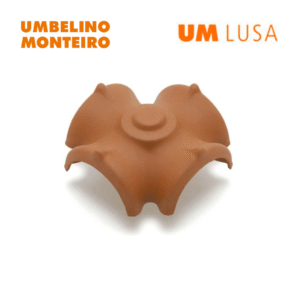 Telhão de 4h UM Lusa